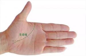 手相生命線(xiàn)有分叉什么意思