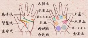 手相感情線(xiàn)圖解大全