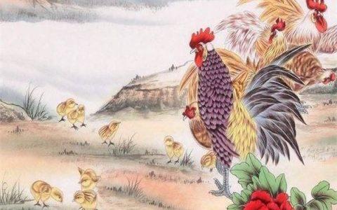 屬雞的三合和六個(gè)合生肖貴人