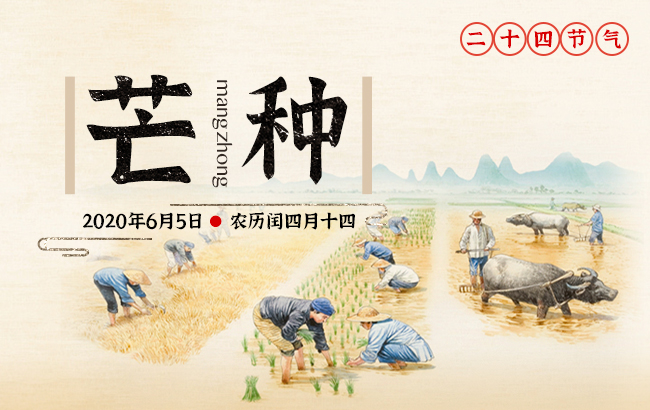 芒種的芒字是什么意思，芒種的寓意和象征