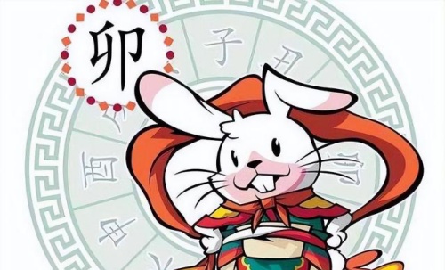 屬兔人2024年全年運勢運程，屬兔人今年運勢2024年每月運勢！