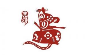 屬鼠人2024年全年運勢運程，屬鼠人2024年每月運勢運程！