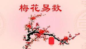梅花易數(shù)是怎么回事？
