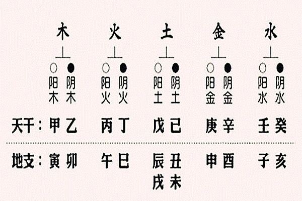 十二地支的陰陽屬性