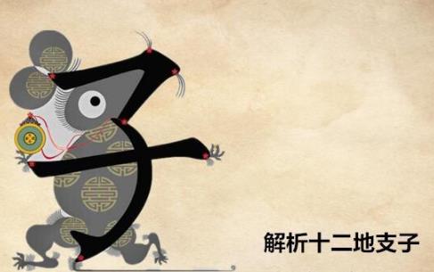 十二地支子是什么意思，五行屬什么？