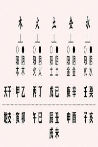 十二地支的陰陽屬性