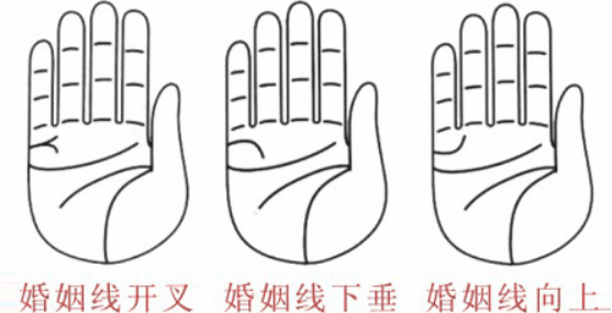 婚姻線分叉代表什么，婚姻線分叉是什么意思？