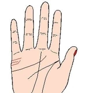 手相婚姻線(xiàn)看你會(huì)離婚嗎？