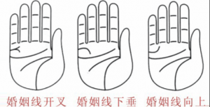 婚姻線分叉代表什么，婚姻線分叉是什么意思？