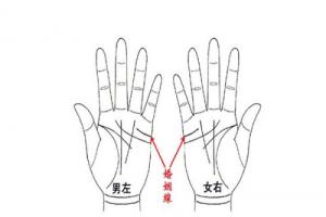 婚姻線(xiàn)怎么看圖解，婚姻線(xiàn)是哪一條？