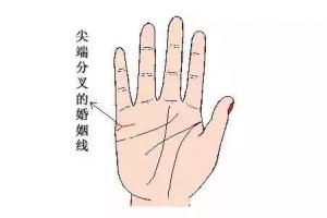 婚姻線(xiàn)分叉一定會(huì)離婚嗎?