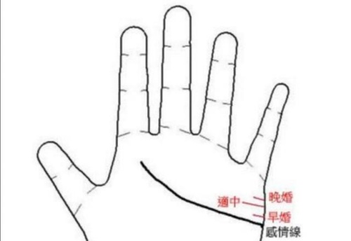看婚姻線判斷出你在幾歲結婚