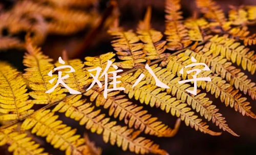 命局里易出現(xiàn)災難的八字