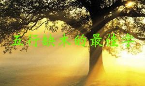 五行缺木的最佳字，五行缺木屬性的字大全！