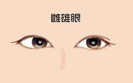 一內(nèi)雙一外雙是什么眼面相