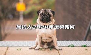 屬狗人2024年全年運(yùn)勢運(yùn)程，屬狗人2024年每月運(yùn)勢及運(yùn)程詳解！