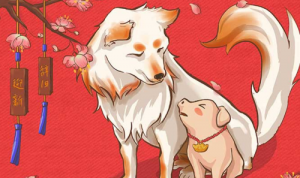 屬狗的幸運色是什么顏色