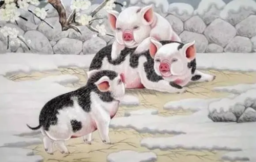 屬豬的和哪個(gè)屬相犯沖