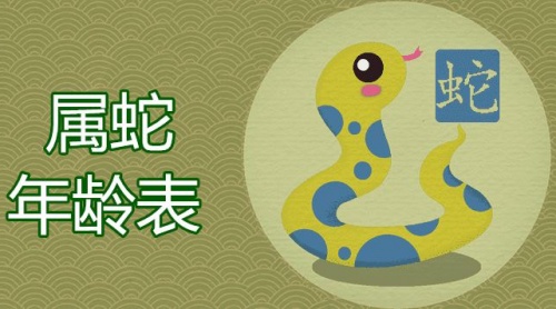 屬蛇的今年多大