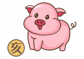 屬豬人2024年全年運(yùn)勢(shì)及運(yùn)程，屬豬人2024年每月運(yùn)勢(shì)及運(yùn)程！