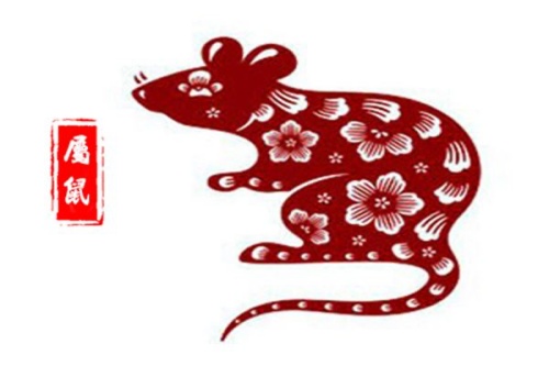 1972年屬什么生肖 今年多大了