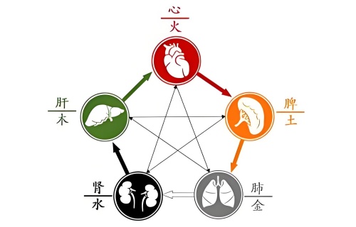 五行內臟對照表，五行內臟對應關系！