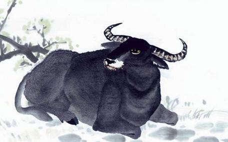 屬牛人的性格和優(yōu)缺點(diǎn)