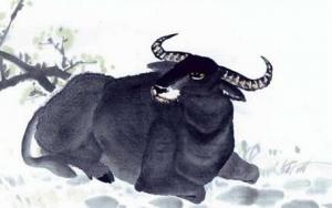 屬牛人的性格和優(yōu)缺點(diǎn)