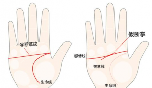 斷掌紋的男人有什么說(shuō)法