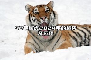98年屬虎2024年運(yùn)勢及運(yùn)程