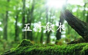 五行缺木的人婚姻怎么樣？