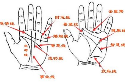 手相怎么看出女人有多少個(gè)男人