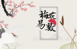 梅花易數(shù)最厲害三個公式