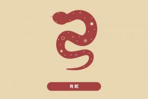 2025蛇年犯沖的屬相有哪些