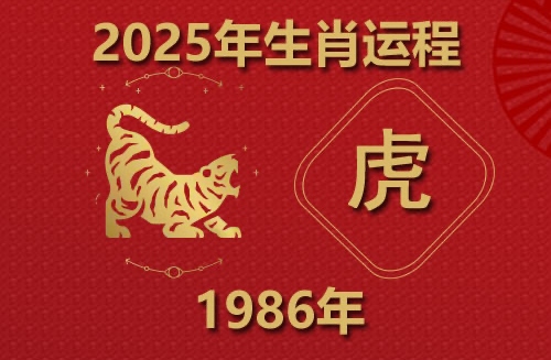 2025年屬虎人的全年運(yùn)勢(shì)1986出生