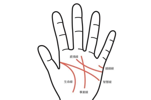 沒有感情線的手相是怎么回事