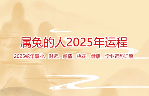屬兔的2025年運(yùn)勢和財(cái)運(yùn)怎么樣