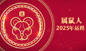 屬鼠2025運(yùn)勢(shì)及運(yùn)程詳解