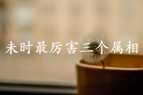 未時(shí)最厲害三個(gè)屬相