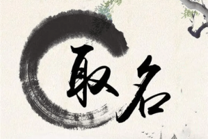 姓名32畫(huà)和25畫(huà)哪個(gè)更生僻
