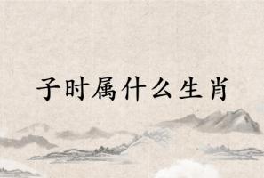 子時屬什么生肖
