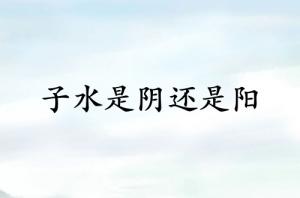 子水是陰還是陽(yáng)
