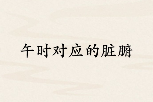 午時和哪個臟腑對應