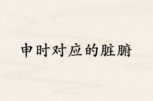 申時對應(yīng)哪個臟腑