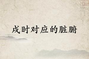 戌時對應(yīng)什么臟腑