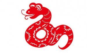屬蛇人跟誰(shuí)一起財(cái)運(yùn)好