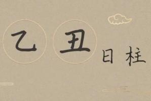 乙丑日柱三命通會(huì)精論