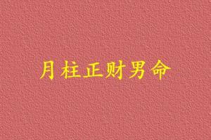 月柱正財(cái)男命代表什么