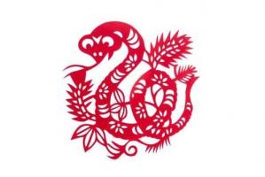屬蛇的人一生命運(yùn)如何